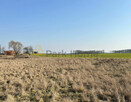 Działka inwestycyjna Śmigiel, - 3