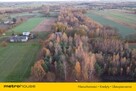 Działka 33592 m2 Jedlicze B Powiat Zgierski - 5