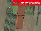Działka rolna - 30ar - Smugi gm. Jastków - 3