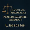 Adwokat Sprawy rodzinne, rozwód, alimenty, podział majątku - 2