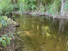Sprzedam 4 działki w Idzbarku (gm. Ostróda) - przy rzece - 2