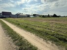okazja - działka - Święciechowa - 100m od drogi utwardzonej - 3