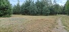 Sprzedam działkę 1,08ha - 10