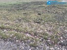 Działka 900m2 przy lesie Komorowskim! - 2