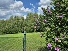 Sobolów, Wola Nieszk.  dz.13,7a, budowlana, las, rekreacja - 7