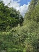Sprzedam gospodarstwo rolne - 9