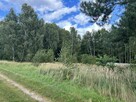 Na sprzedaż – działka budowlana 4435 m² w gminie Nekla - 5