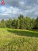 Działka rolna Hołny Wolmera gm. Sejny - 2