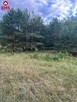 Działka rolna Hołny Wolmera gm. Sejny - 3