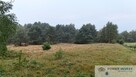 Działka Kodrąbek - 8