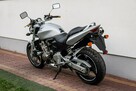Honda Hornet CB 600 F 2003 Raty Transport NAJWIĘKSZY WYBÓR Motocykli 2 X KUFER - 5
