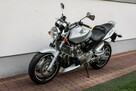 Honda Hornet CB 600 F 2003 Raty Transport NAJWIĘKSZY WYBÓR Motocykli 2 X KUFER - 7