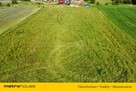 Działka siedliskowa w Mikorowie 185 000 zł!! - 2