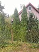 Działka 1100 m, okolice Dorohuska super okolica - 6