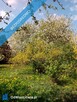 Sprzedam działkę usługowo-inwestycyjną przy granicy Miasta Lublin 8200 m2 - 4