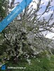 Sprzedam działkę usługowo-inwestycyjną przy granicy Miasta Lublin 8200 m2 - 6