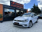 Volkswagen Golf Bezwypadkowy, LED, Masaż, Czujniki parkowania, Podgrzewane fotele - 7