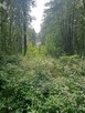 działke rolna sprzedam - 3