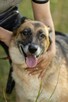 Proludzka, porzucona LULU szuka domu !! Do adopcji !! - 7