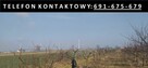 Usługi ogrodnicze - zakładanie i pielęgnacja ogrodów itp. - 6
