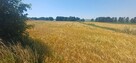 Działka przy trasie 714 i Rzgowie pow ok1ha Łódzki Wschodni - 5