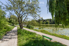 Kawalerka, Park Skaryszewski,Rondo Wiatracza. SWPS - 4