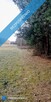 OKAZJA! Prywatny las 1,62 ha tylko 1h 15 min od Warszawy - 6