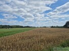 Działka rolno-budowlana / duża działka - 1