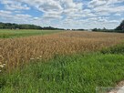 Działka rolno-budowlana / duża działka - 3