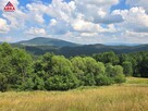 Działka budowlana Zalesie gm. Kamienica - 4