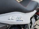 Daytona Dymoto 125 Premium TURYSTYK 125 Daytona dymoto 125 ,raty,dowóz - 9