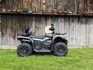 Diabolini Inny DIABOLINI BEAST 450 L Quad dużych rozmiarów 4x4 wspomaganie serwis - 2