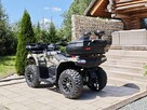 Diabolini Inny DIABOLINI BEAST 450 L Quad dużych rozmiarów 4x4 wspomaganie serwis - 4