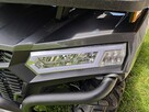 Diabolini Inny DIABOLINI BEAST 450 L Quad dużych rozmiarów 4x4 wspomaganie serwis - 9