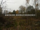 Działka rekreacyjna Wiskitki Antoniew - 8