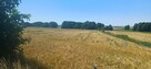 Działka przy trasie 714 i Rzgowie pow ok1ha Łódzki Wschodni - 3