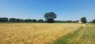 Działka przy trasie 714 i Rzgowie pow ok1ha Łódzki Wschodni - 7