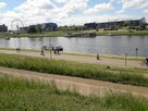 Super lokaliza/ Balkon/ 2 oddzielne pokoje/ Nowe/ MP - 16
