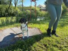 Pilne!! Kropeczka Maleńka ok 1/2 lat czeka na dom Bełchatów - 2