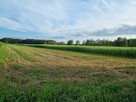 Działki budowlane w miejscowości Adelin, gm. Zabrodzie - 2