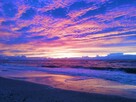 Domek przy dzikiej plaży z boćkiem na łące. Cisza. - 4