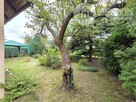 Piękny ROD (300m2) z Domkiem (26m2/5m wys.) !!! - 6