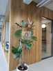Lokal użytkowy Warszawa Mokotów, Domaniewska - 5