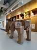 Lokal użytkowy Warszawa Praga-Północ, Białostocka - 5