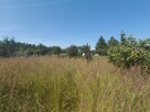 Działka na sprzedaż Zawroty, Morąg - 4