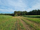 Działki budowlane w miejscowości Adelin, gm. Zabrodzie - 5