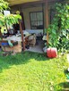 Dzialka ROD Nowy Start - 3