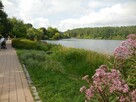 Wyjątkowy apartament nad Jeziorem Długim, ul. Leśna - 10