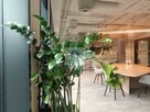 Lokal użytkowy Warszawa Śródmieście, Nowogrodzka - 1