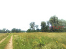 Działka budowlana Budy Zosine gm. Jaktorów, - 2
